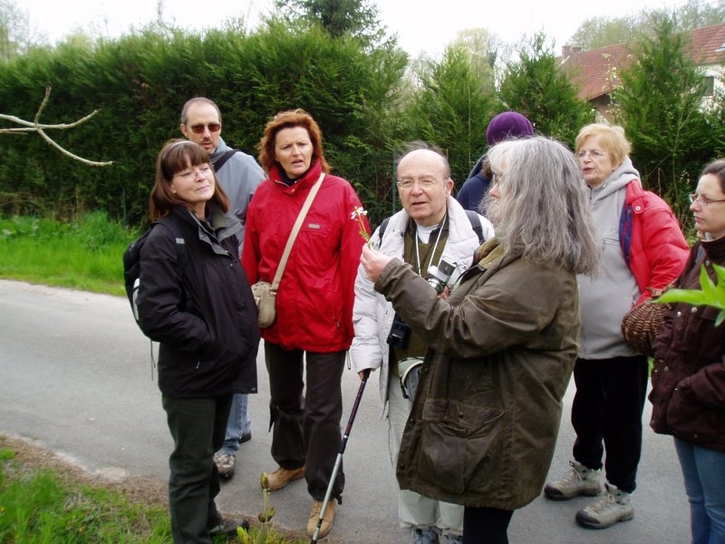 2006 04 Plantes alimentaire 05